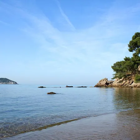 Magnifique Petit Cocon Bord De Mer Le Pradet Exterior photo