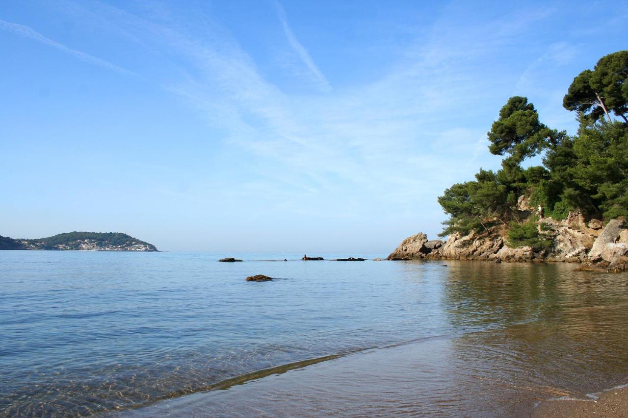Apartamento Magnifique Petit Cocon Bord De *